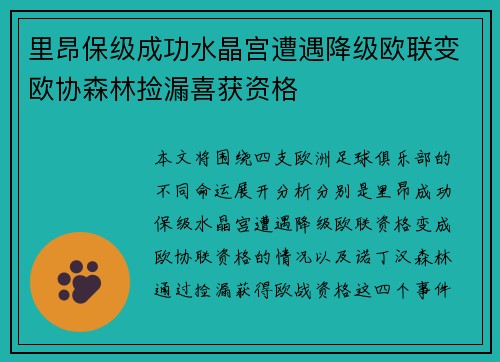 里昂保级成功水晶宫遭遇降级欧联变欧协森林捡漏喜获资格