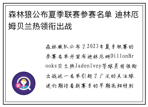 森林狼公布夏季联赛参赛名单 迪林厄姆贝兰热领衔出战
