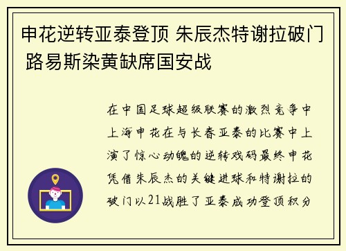 申花逆转亚泰登顶 朱辰杰特谢拉破门 路易斯染黄缺席国安战